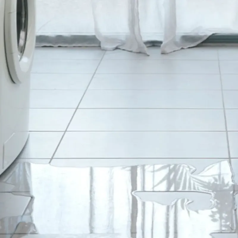 Appliance Leak Cleanup in Whitehall, WI