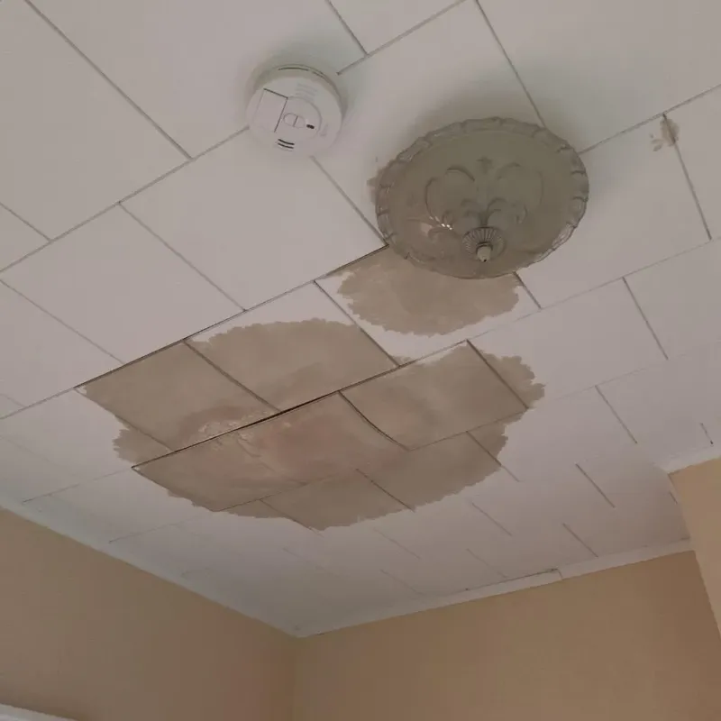 Ceiling Water Damage Repair in Whitehall, WI