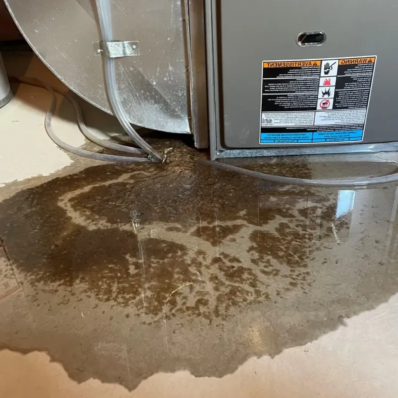 Pipe Burst and Leak Restoration in Whitehall, WI
