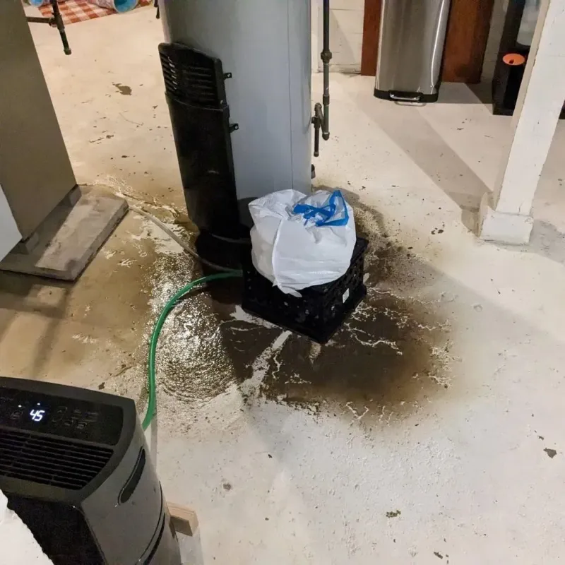 Sewage Backup Cleanup Service in Whitehall, WI